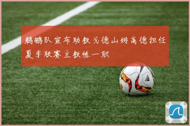 鹈鹕队宣布助教戈德山姆高德担任夏季联赛主教练一职